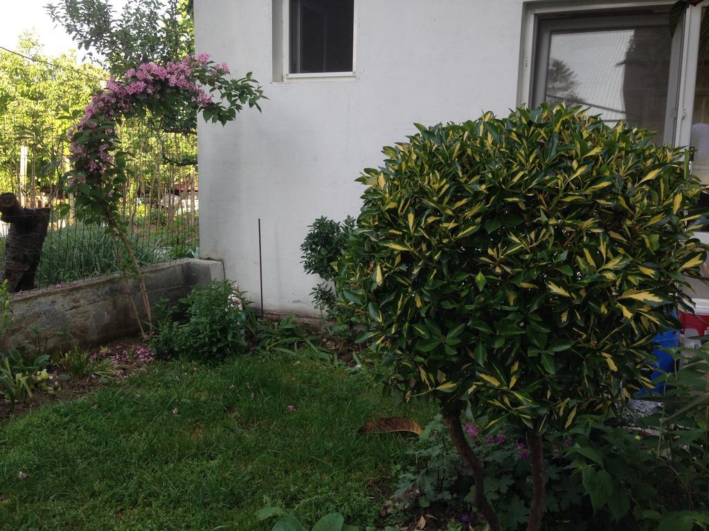 Guest House Kostadinovi Lozenets Εξωτερικό φωτογραφία